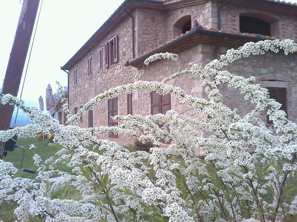 Agriturismo Il Poggiolo Монтемерано Екстериор снимка