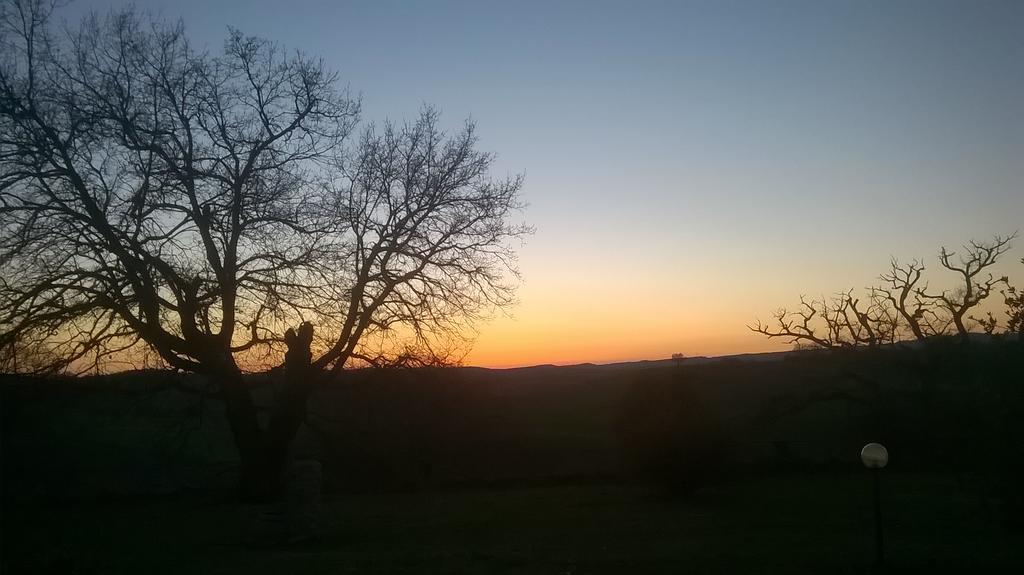 Agriturismo Il Poggiolo Монтемерано Екстериор снимка